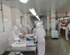 從電子到味覺 蘇錦章的“良心食品”跨界逆襲之路