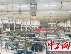 透明無盲區 伊利智慧全守護 | 當高科技助推“舌尖守護極境之旅