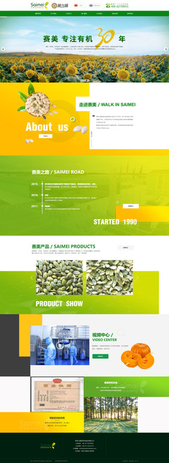 網(wǎng)頁(yè)制作資源與技巧全解析 從特效到設(shè)計(jì)實(shí)戰(zhàn)