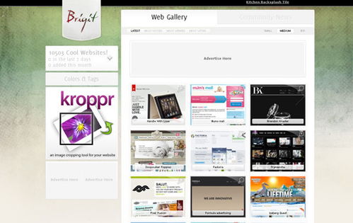 36個精選網站 探索與收集互聯網信息服務業務領域的網頁設計杰作